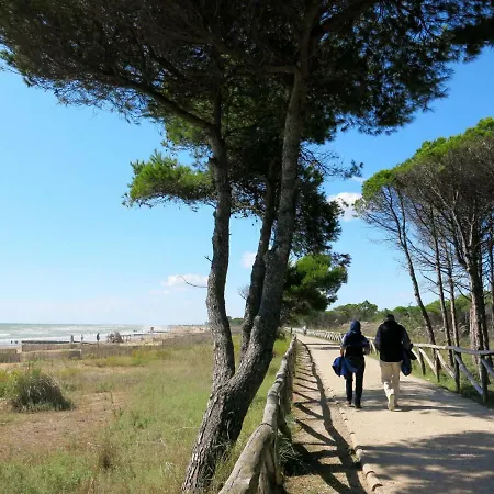 Locazione Turistica Casa Codan/fransi 비비오네